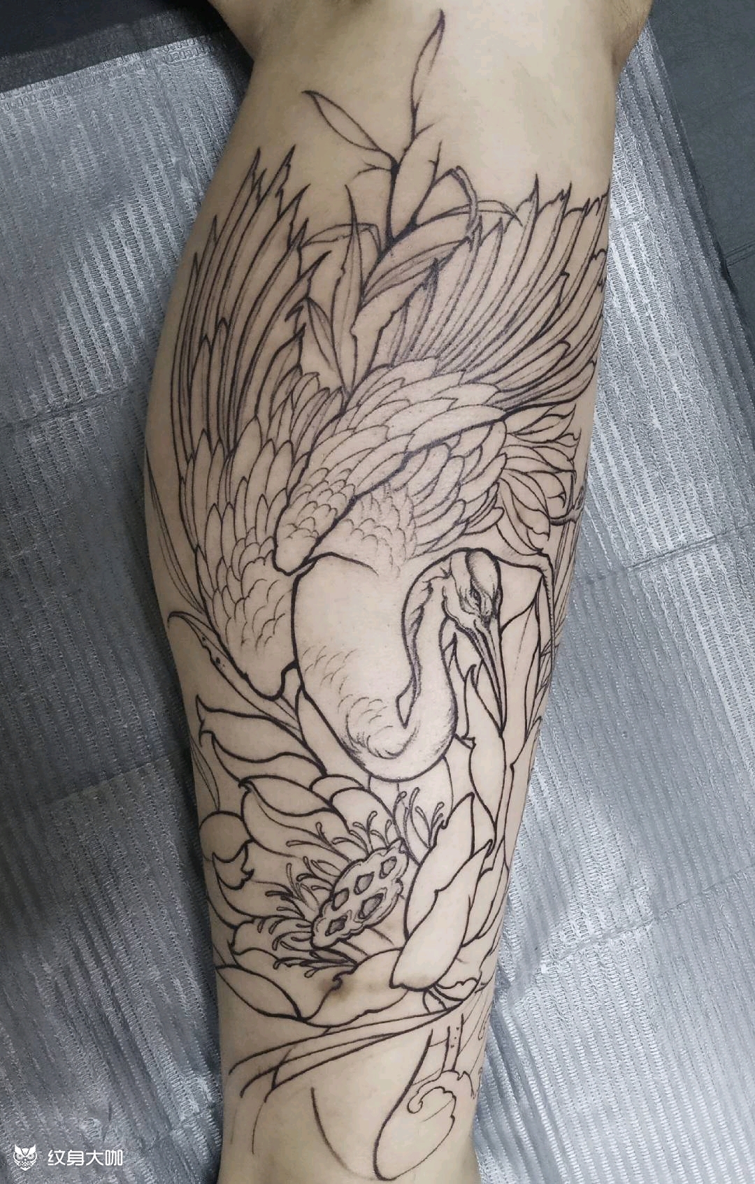 仙鹤线条_纹身图案手稿图片_tattoo-m的纹身作品集