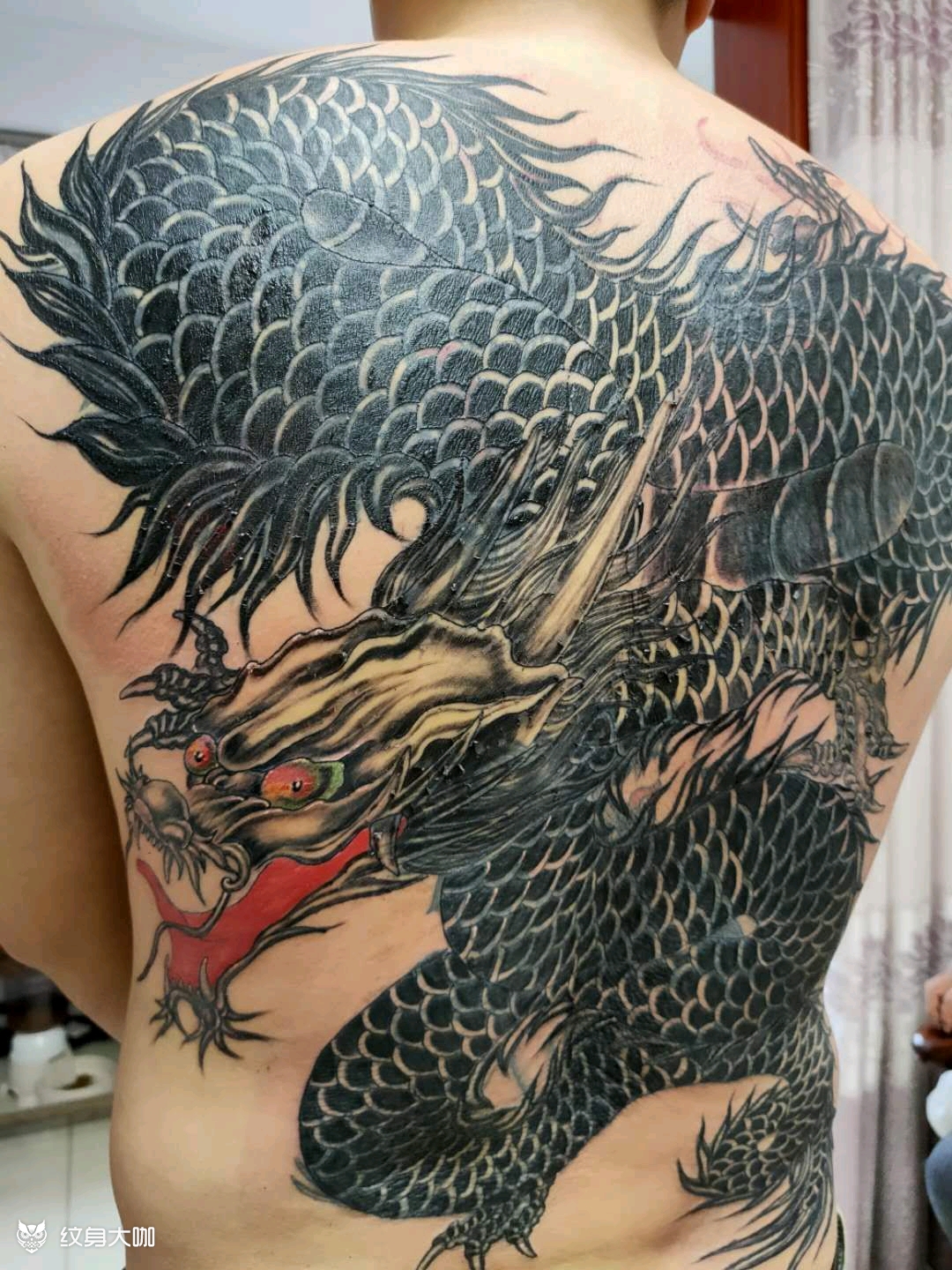 满背龙_纹身图案手稿图片_姜林林的纹身作品集