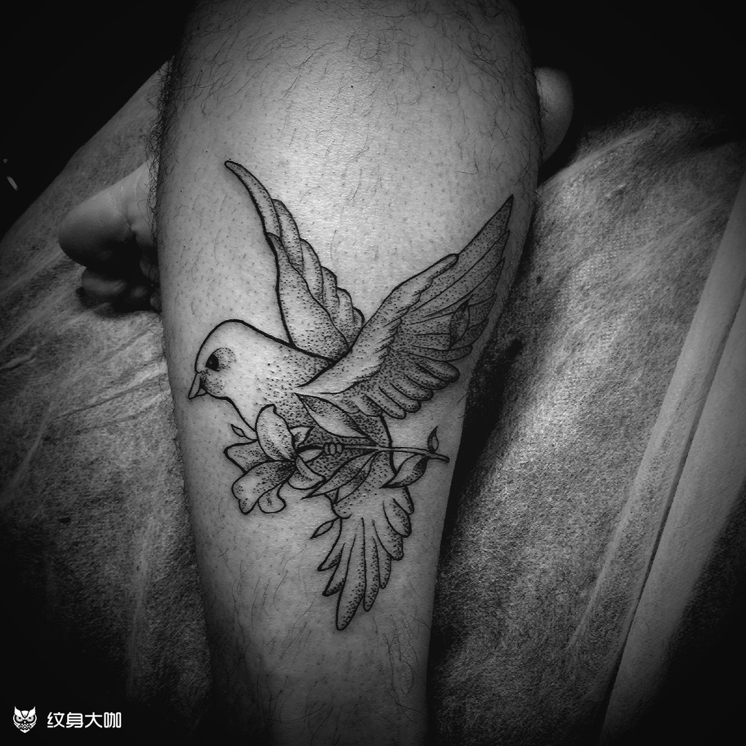 点刺鸽子_纹身图案手稿图片_大林的纹身作品集
